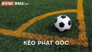 Chia Sẻ Mẹo Bắt Kèo Phạt Góc Hiệu Quả Trong Cá Độ Bóng Đá